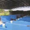 玻璃钢海水养殖容器生产厂/国林新材料