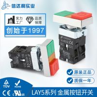 厂家直供XB2 LAY5-BW8465 Y5 矩形红绿双位双键带灯凸钮按钮开关