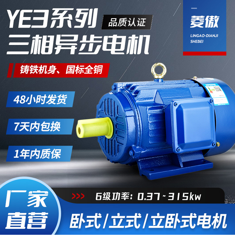 YE3-6极三相异步电动机0.18千瓦-315KW马达电机380V全铜线圈批发