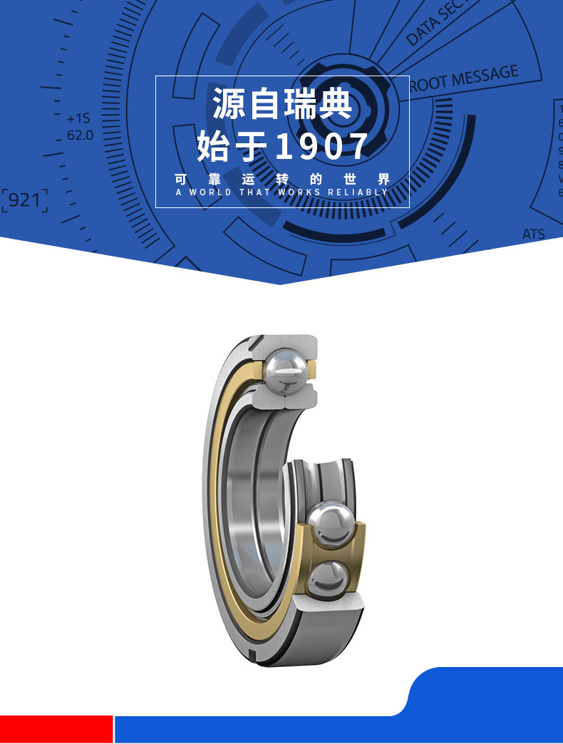 详情_01SKF.jpg