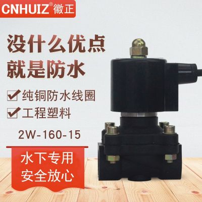 徽正防水电磁阀2A/2W-160-15 DN15塑料4分水下专用电控阀进水阀