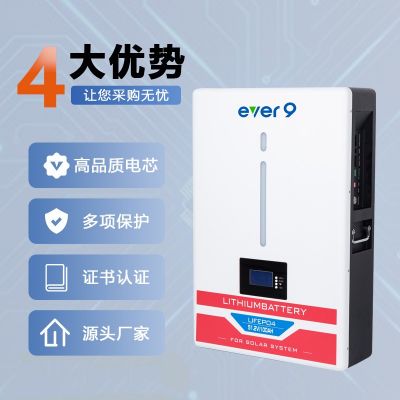 51.2v 5度/10度15度电家庭用太阳能光伏磷酸铁锂储能壁挂式锂电池